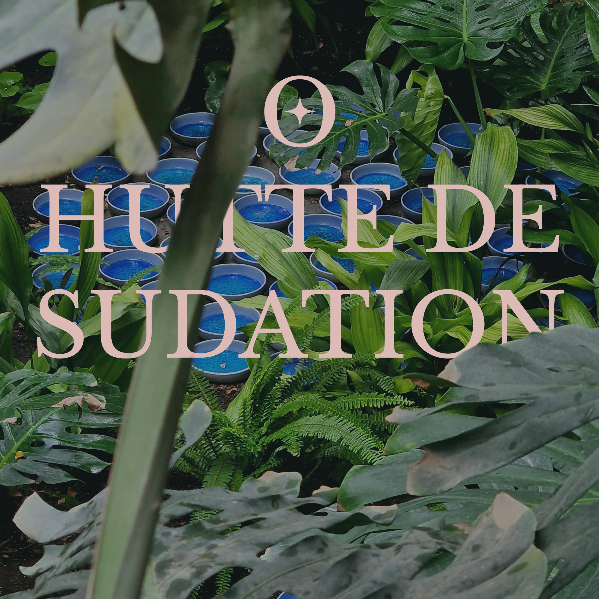 Hutte de sudation samedi 23 novembre 2024 à Jullianges(43500)
